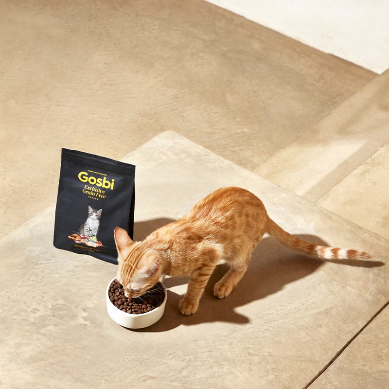 Gosbi Exclusive Grain Free Cat Kitten Pollo y Pescado 400 gr