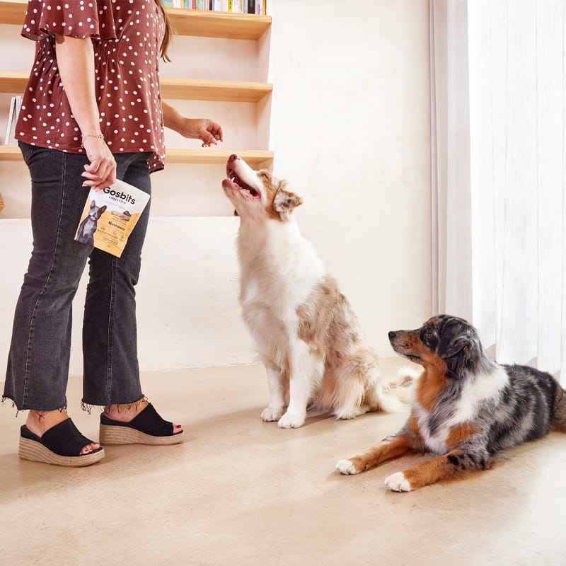 Objective Dog Senior Movement Gosbits