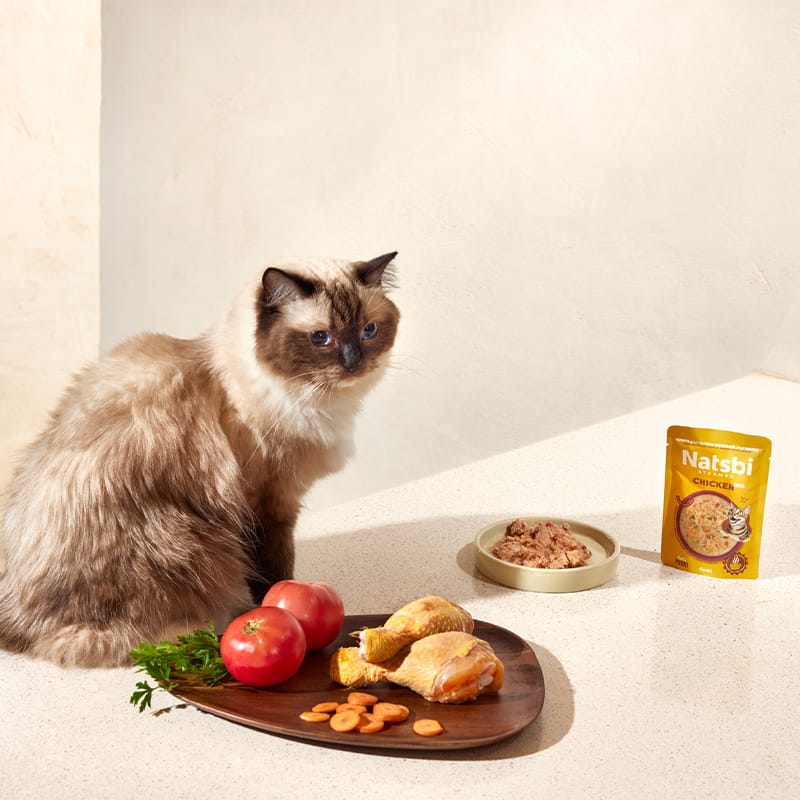 Natsbi Steamed Gravy Cat Pollo 80 gr