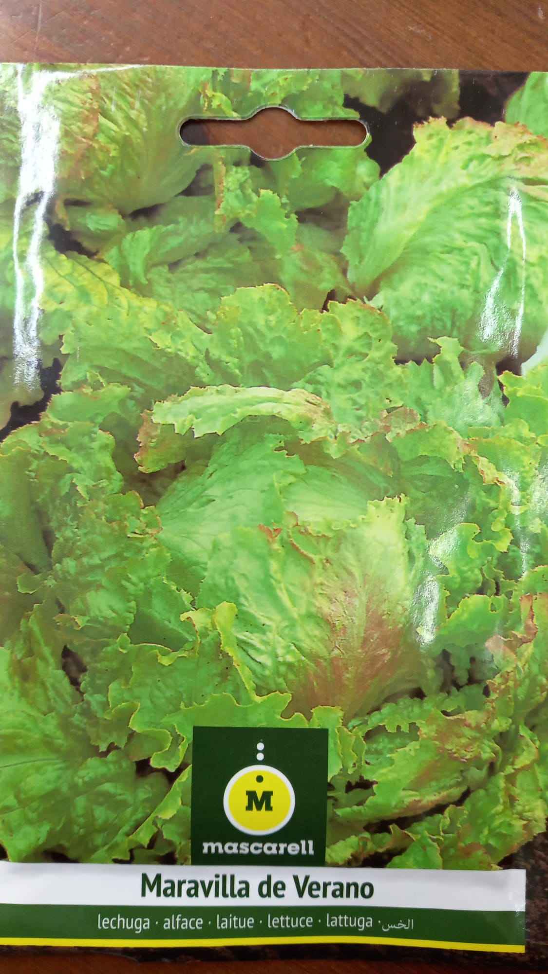 Semilla de Lechuga Maravilla de Verano - 3gr