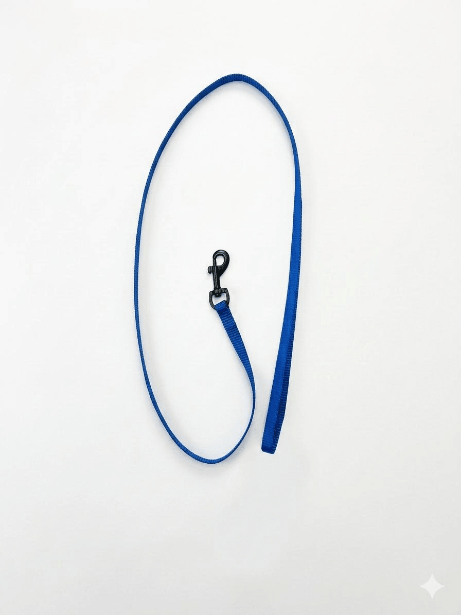 Correa Nylon Sportiv Plus Azul S 1m | Paseo