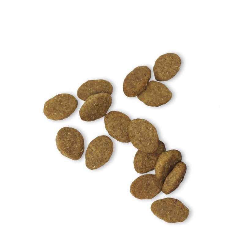 Fresh Mediterranean Blend Adult Complete (Low Grain) 2,5 kg