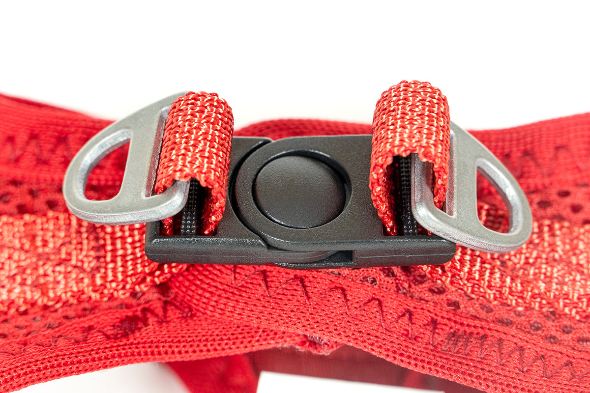 Gloria Pets Arnés Trek Star Rojo Oscuro para Perros XXXS