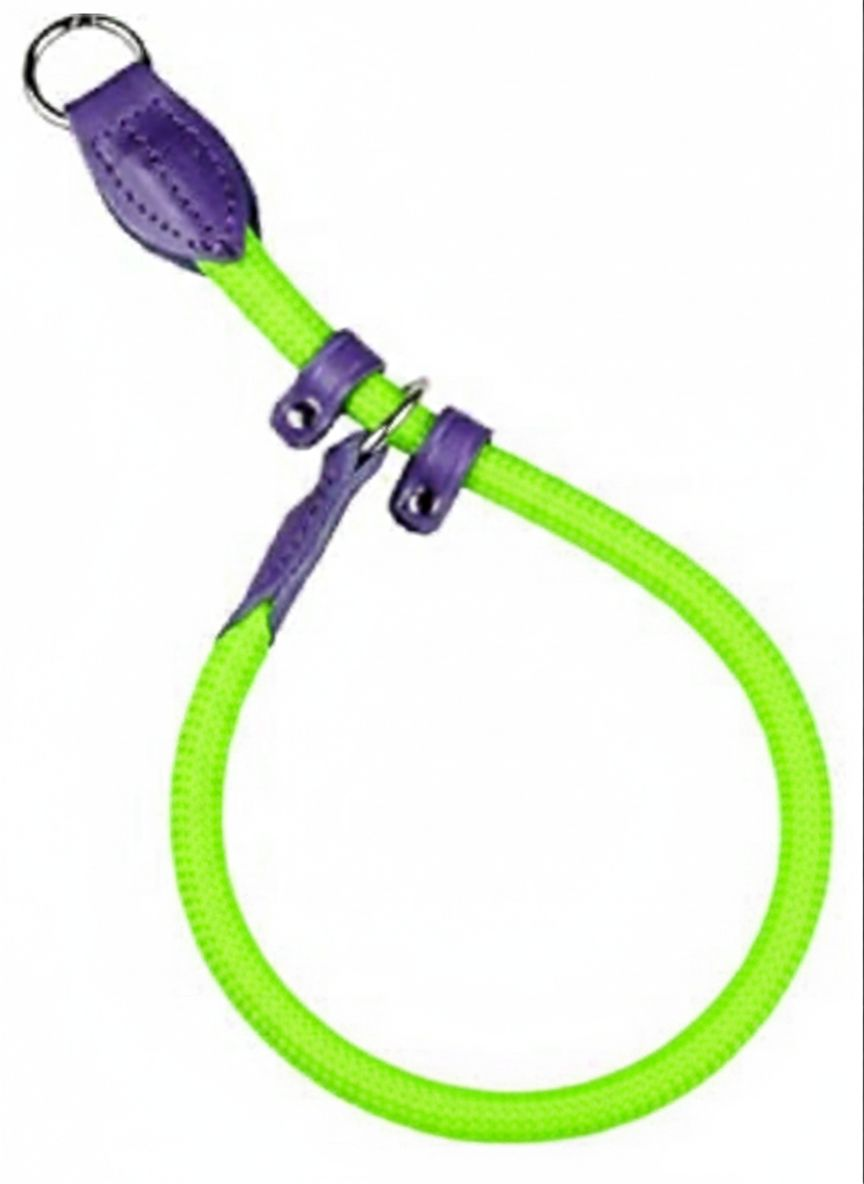 Collar Educativo Nylon con Freno Verde y Lila