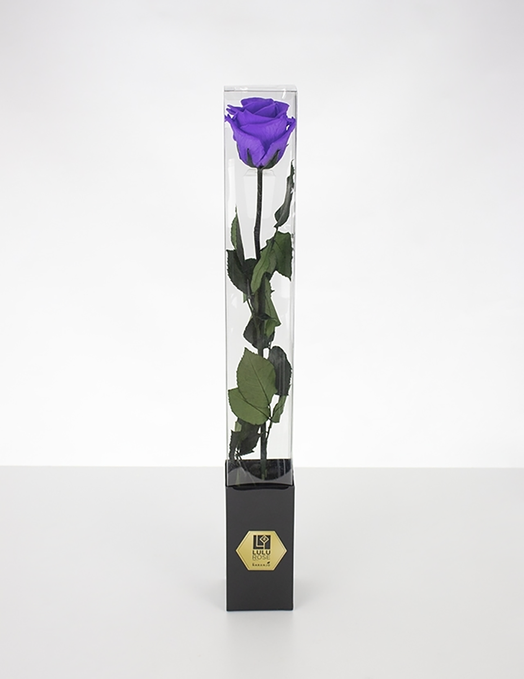 Lulu Rose Rosa preservada Lavanda con Tallo 50cm