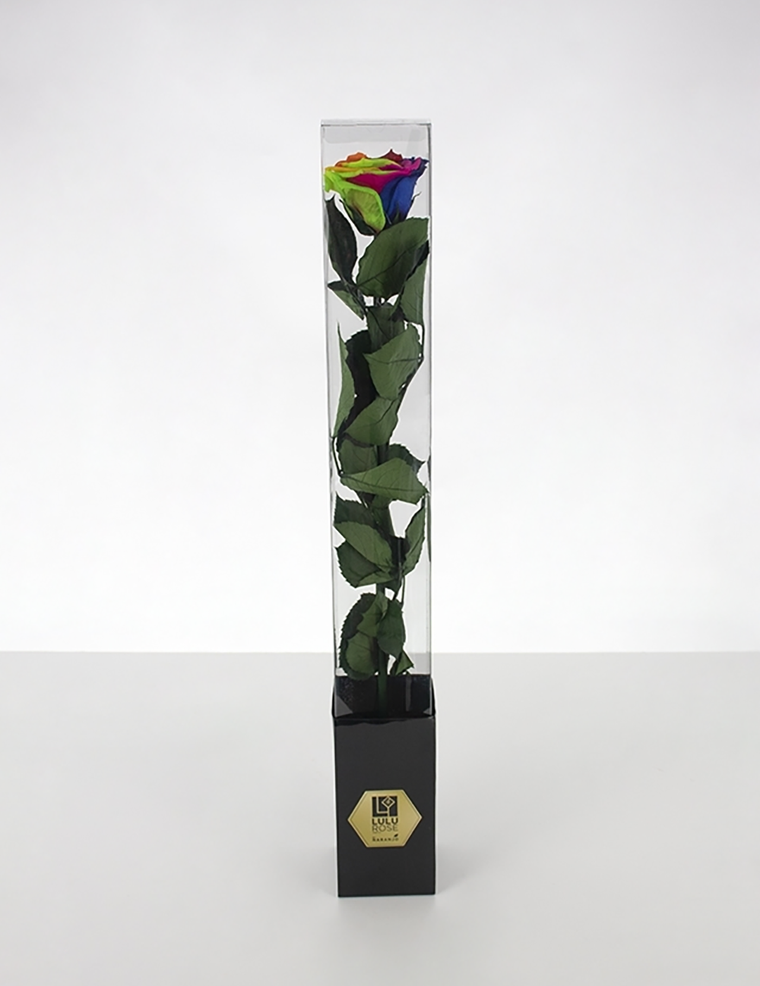 Lulu Rose Rosa preservada Arcoíris con Tallo 50cm