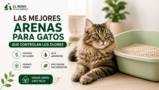 Las mejores arenas para gatos que controlan los olores
