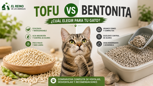 Arena de tofu vs bentonita: ¿cuál elegir para tu gato?