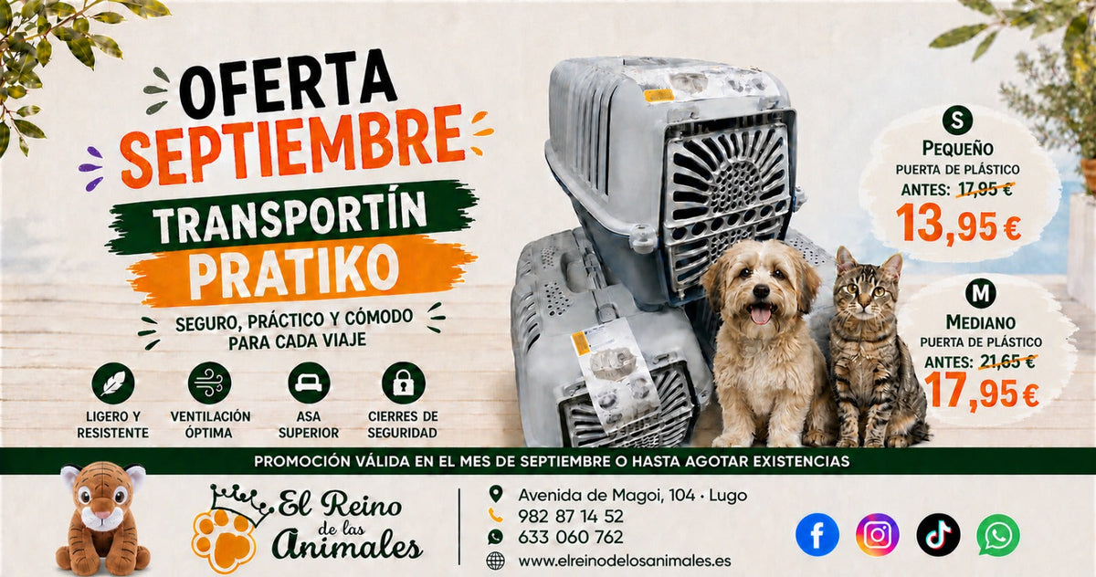 Oferta Septiembre – Transportín Pratiko S y M