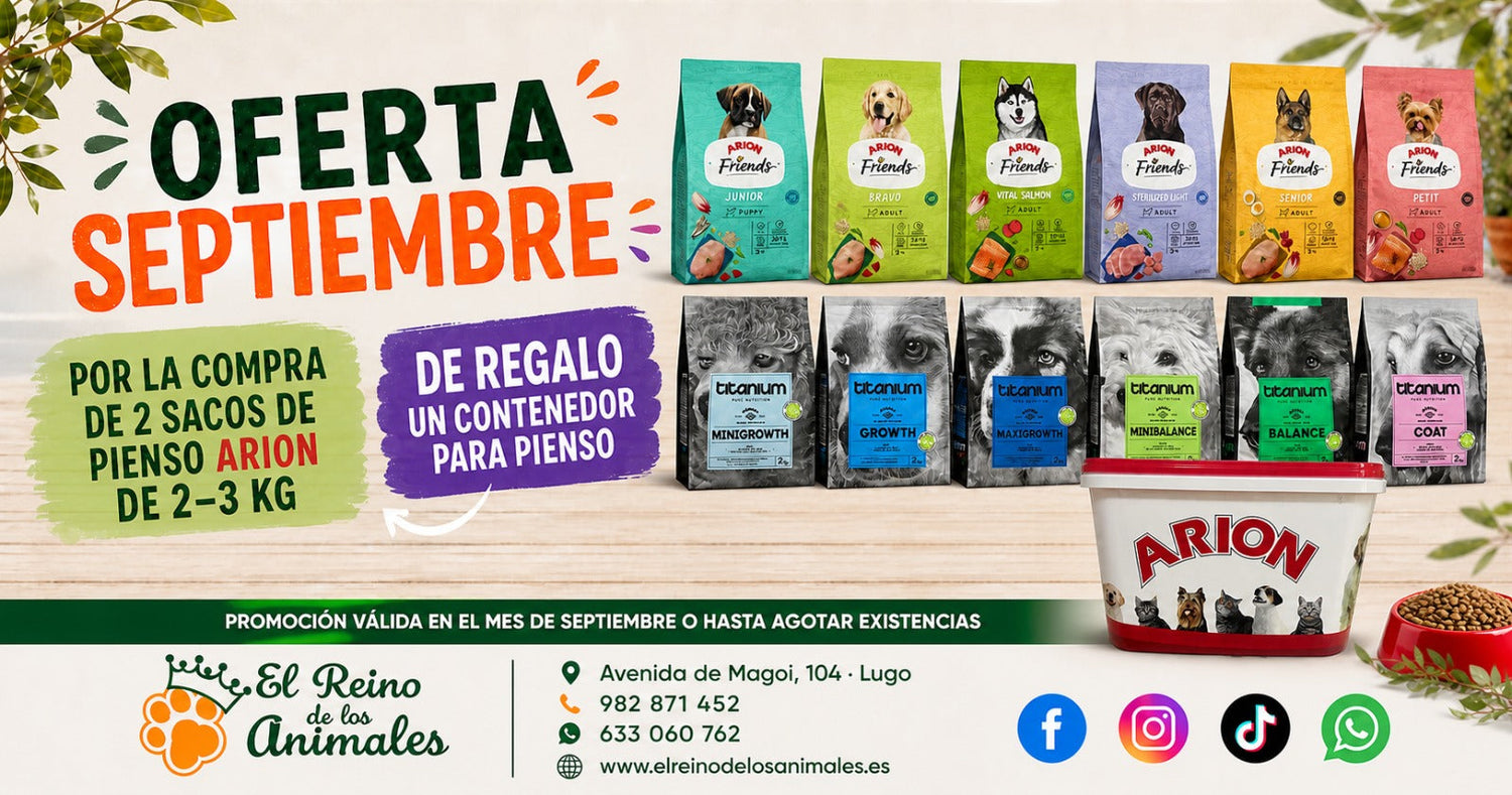 Oferta Septiembre – Pienso Arion 2 y 3 kg + Contenedor de Regalo