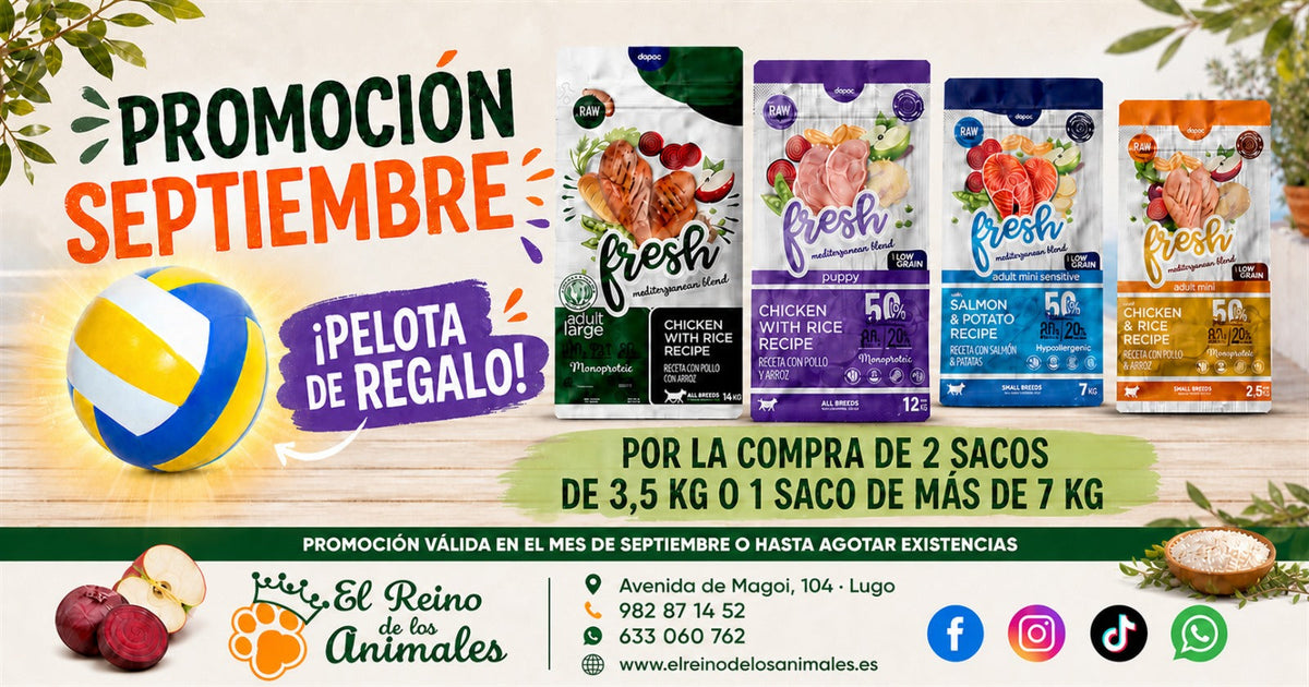Oferta Septiembre – Pienso Fresh + Pelota de Voléibol de Regalo