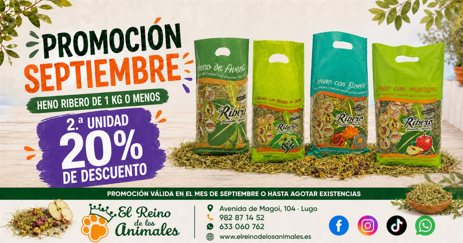 Oferta Septiembre – Heno Ribero: 2ª Unidad al 20% de Descuento