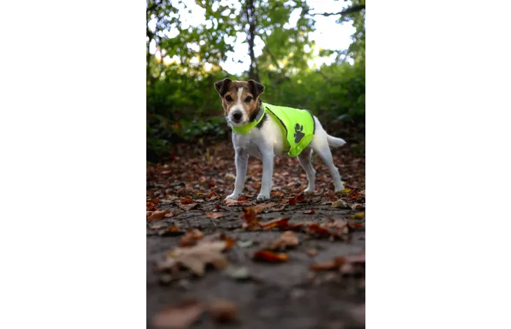 Flamingo Chaleco de Seguridad Refi Amarillo Fluo para Perros – Talla S
