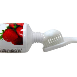 Dentífrico con Aroma a Fresa para Perros 100g