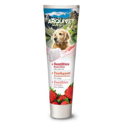 Dentífrico con Aroma a Fresa para Perros 100g
