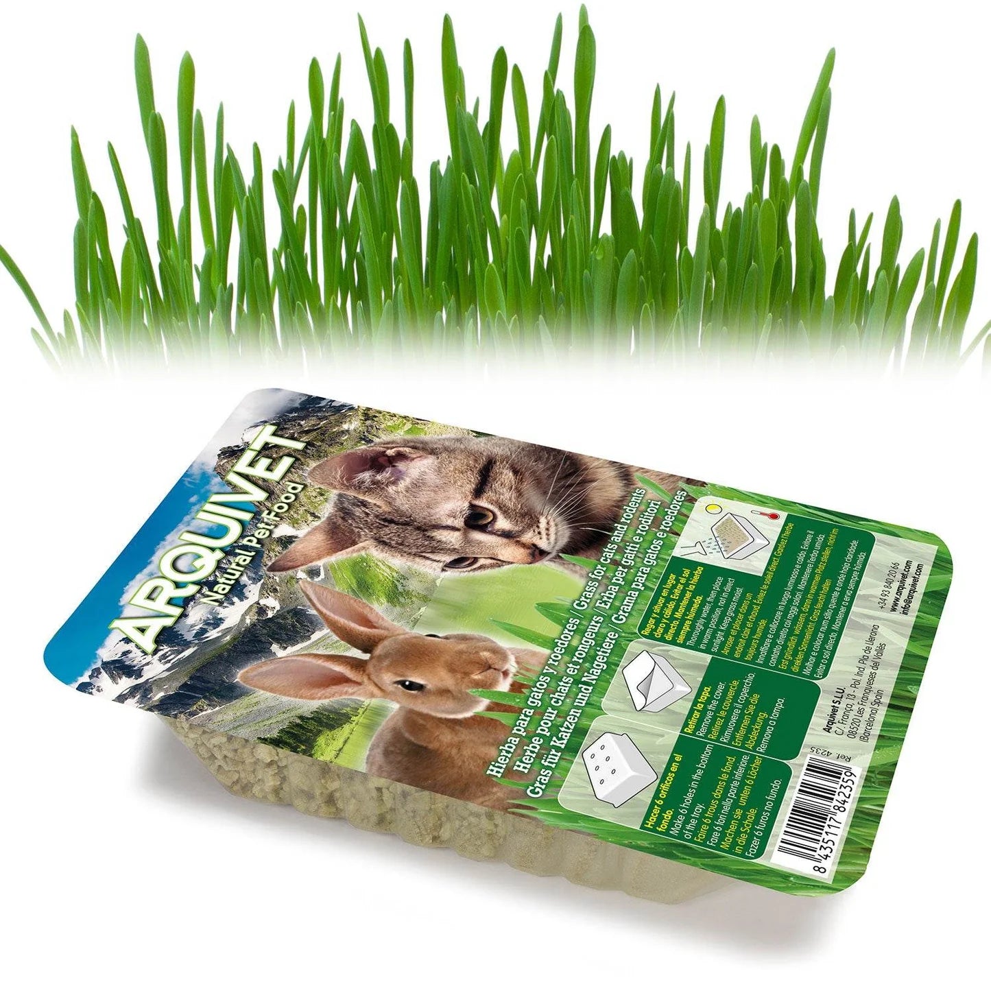 Hierba para Gatos en Bandeja 100 g