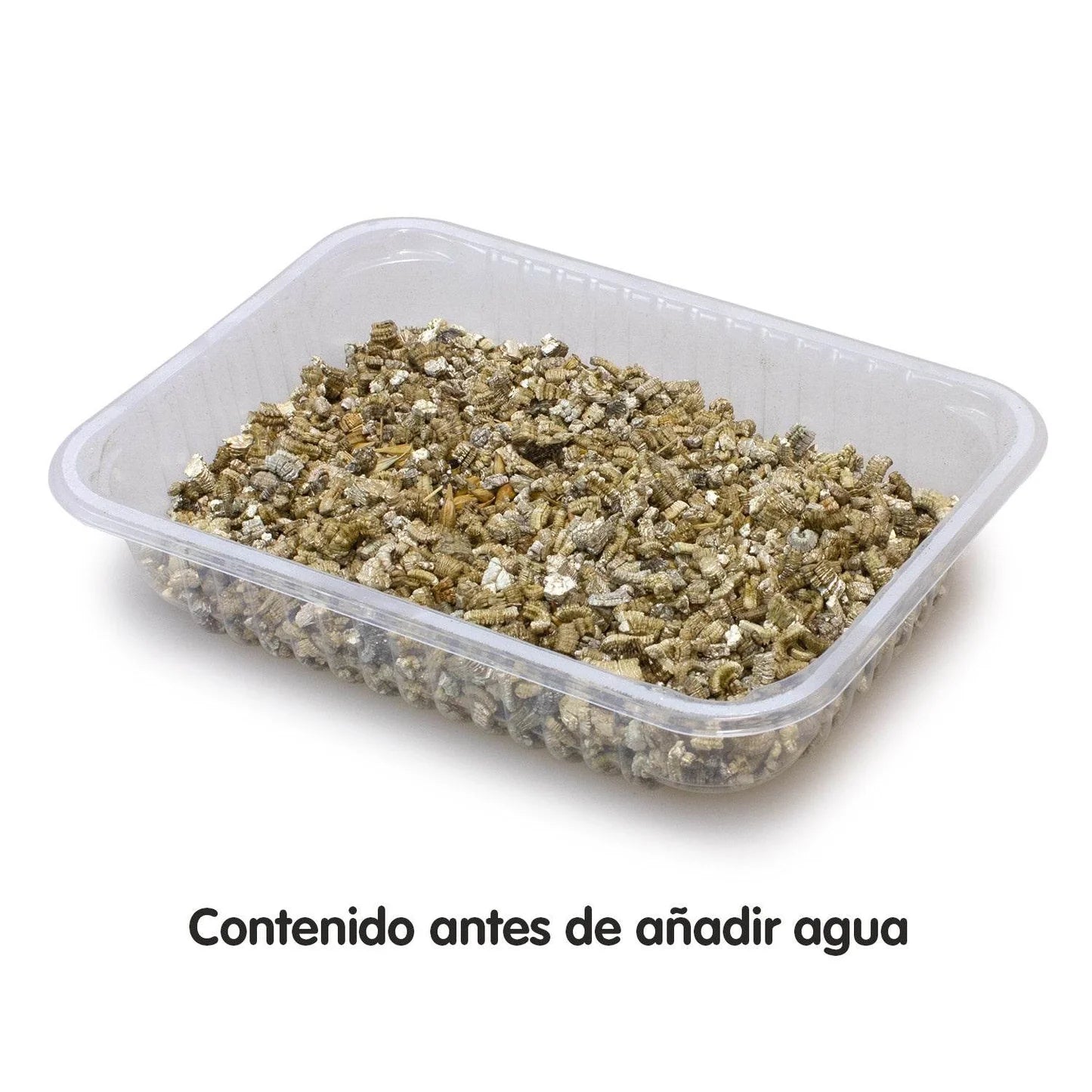 Hierba para Gatos en Bandeja 100 g