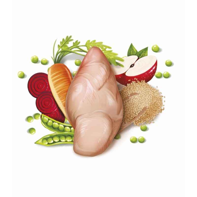 Fresh Mediterranean Blend Adult Complete (Low Grain) 12 kg
