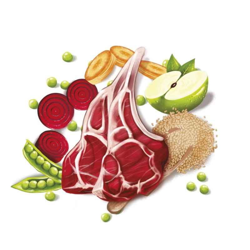 Fresh Mediterranean Blend Adult Lamb (Low Grain) 12 kg