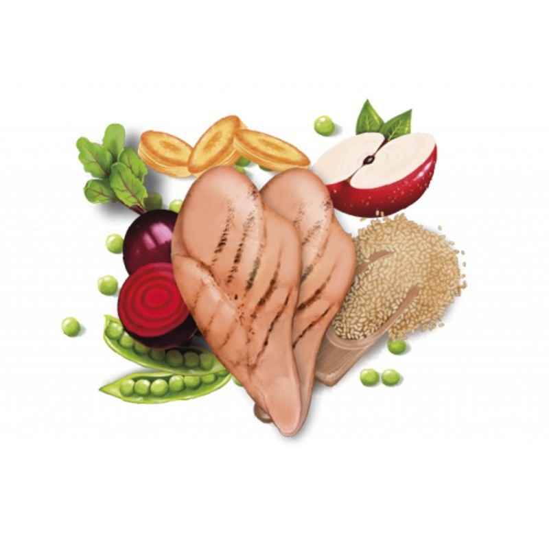 Fresh Mediterranean Blend Adult Mini (Low Grain) 7 kg