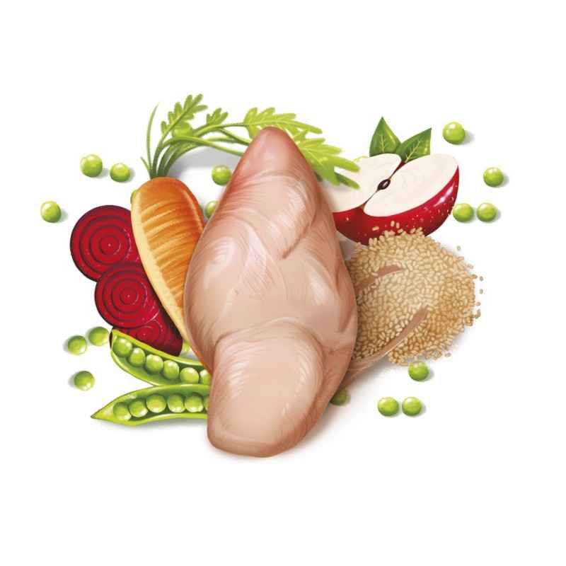 Fresh Mediterranean Blend Senior Light (Low Grain) 2,5 kg