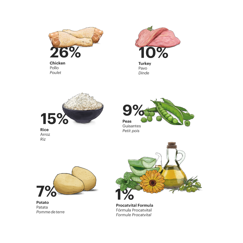 Gosbi Exclusive Cat Kitten Pollo y Pavo 400 gr