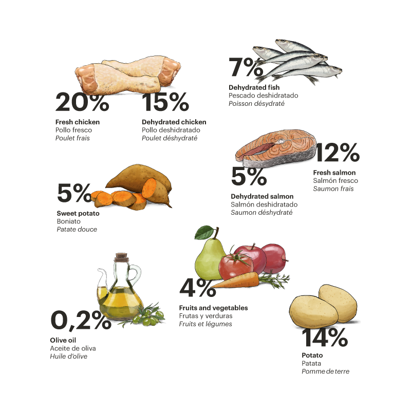 Gosbi Exclusive Grain Free Cat Kitten Pollo y Pescado 400 gr