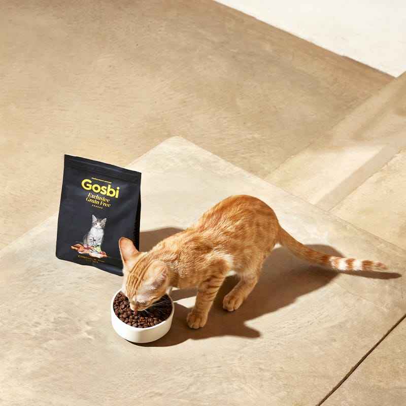 Gosbi Exclusive Grain Free Cat Kitten Pollo y Pescado 400 gr