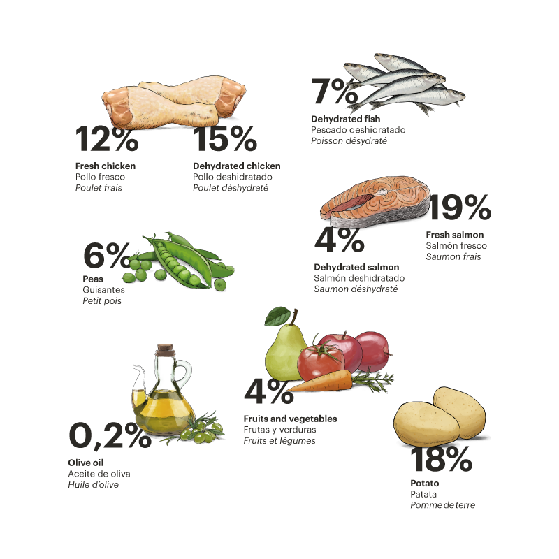 Gosbi Exclusive Grain Free Cat Adult Pollo y Salmón 400 gr