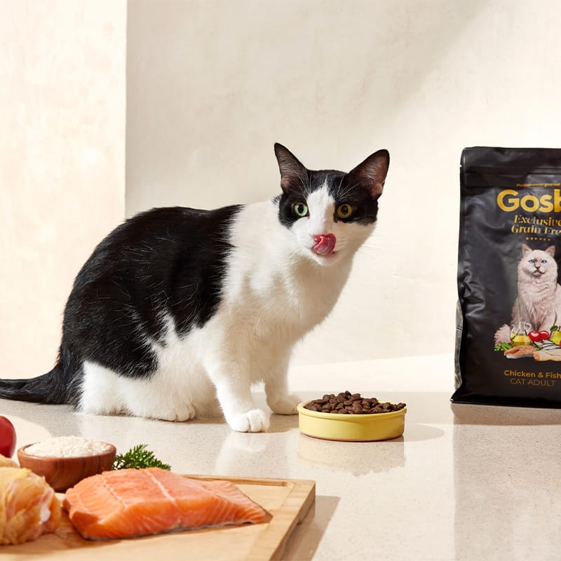 Gosbi Exclusive Grain Free Cat Adult Pollo y Salmón 400 gr
