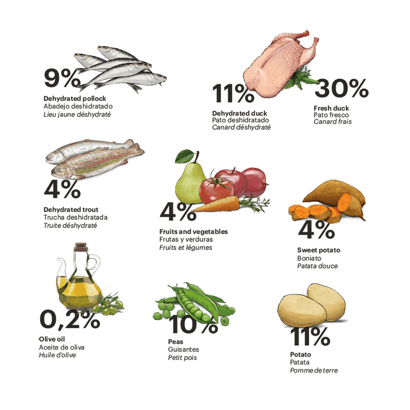 Gosbi Exclusive Grain Free Cat Sterilized Pato y Pescado 400 gr