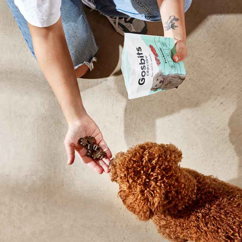 Objective Dog Adult Prebiotic Gosbits