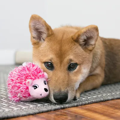 KONG Comfort Hedgehug – Erizo de peluche para cachorros, colores surtidos