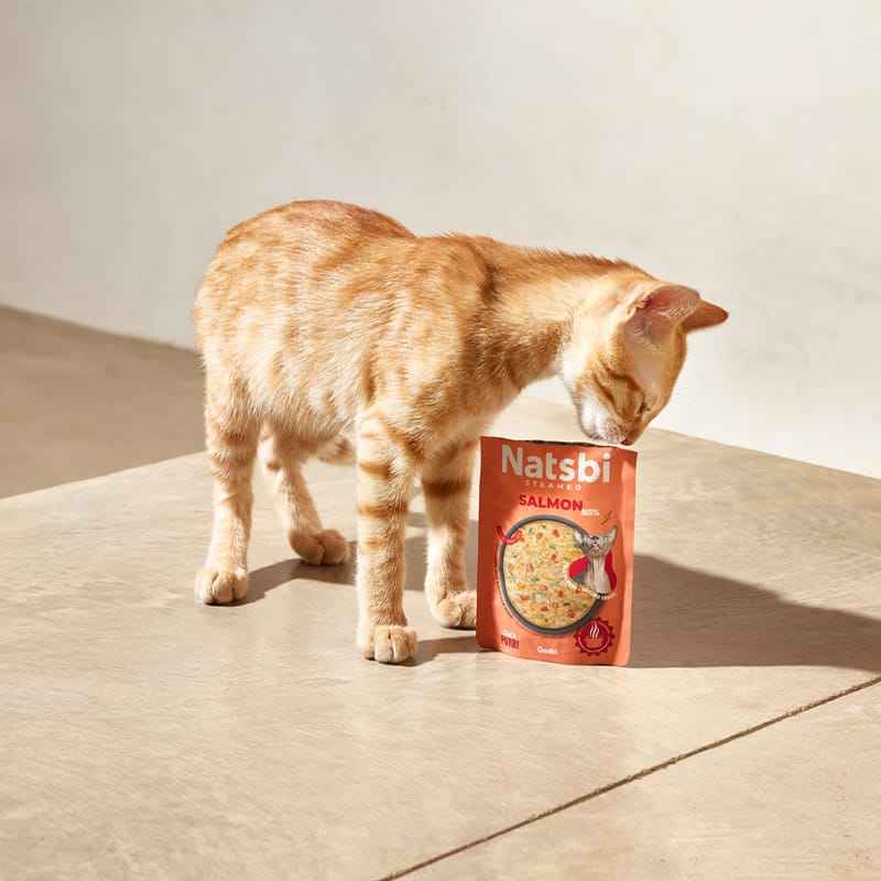 Natsbi Steamed Gravy Cat Salmón 80 gr