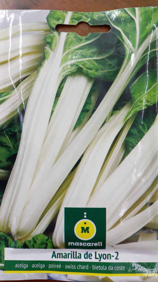 Semilla de Acelga Amarilla de Lyon-2 - 5g