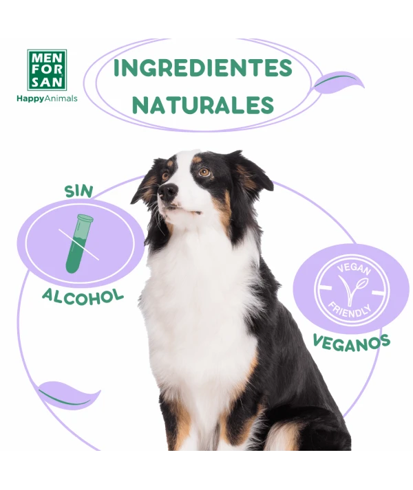 Agua de Colonia para Perros – Fragancia Mora 125ml