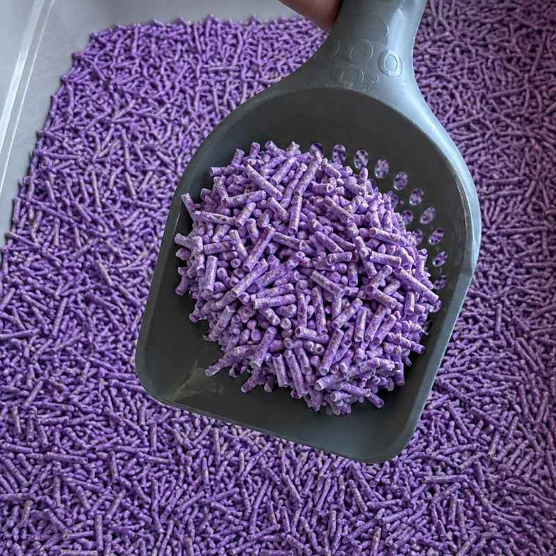 Pet Sana It Is Purr Soya – Arena Aglomerante de Soja con Aroma a Lavanda 20L