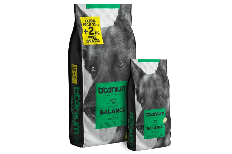 Arion Titanium Balance 17kg - Alimento para Perros Adultos Actividad Media