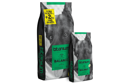 Arion Titanium Balance 17kg - Alimento para Perros Adultos Actividad Media