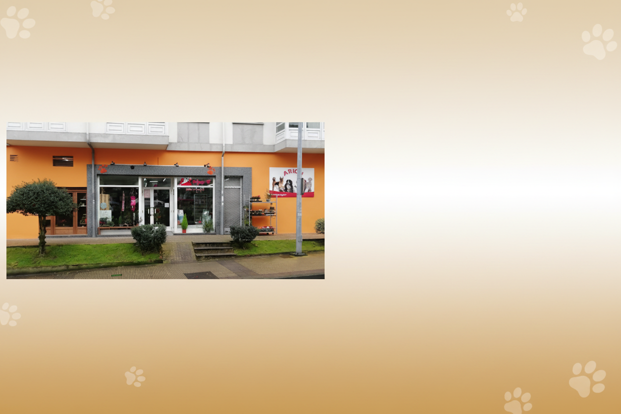 Banner con tienda grande y huellas