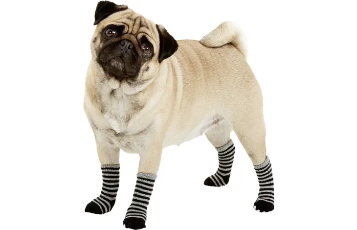 Calcítín Sockies 4 pzs Negro & Gris para Perros