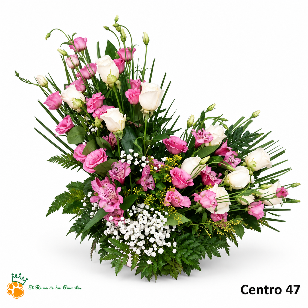 Centro nº47 con fondo blanco y logo