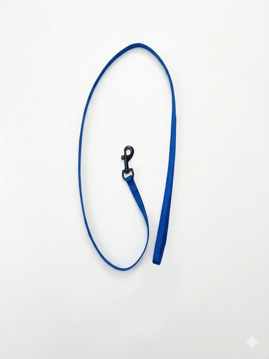 Correa Nylon Sportiv Plus Azul S 1m | Paseo