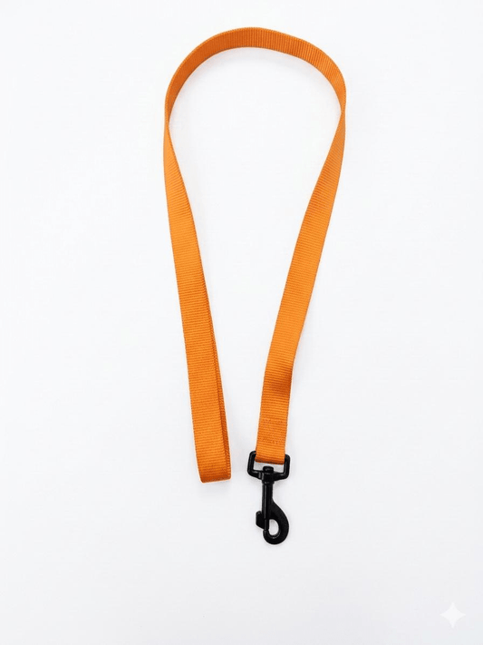 Correa Nylon Sportiv Plus Naranja L 1m | Paseo