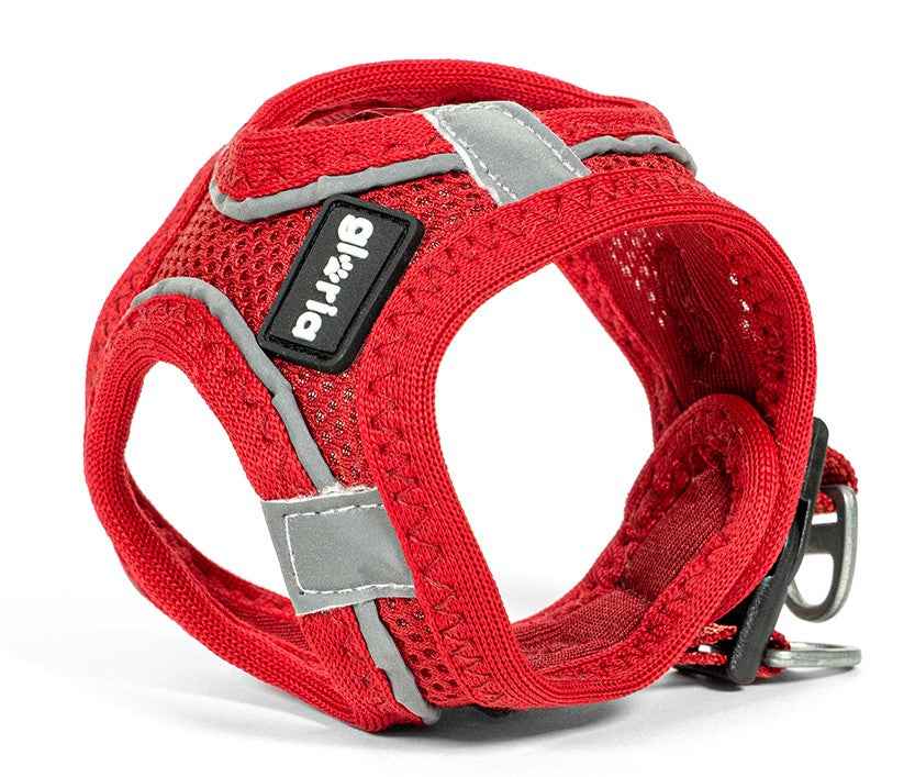 Gloria Pets Arnés Trek Star Rojo Oscuro para Perros XXS