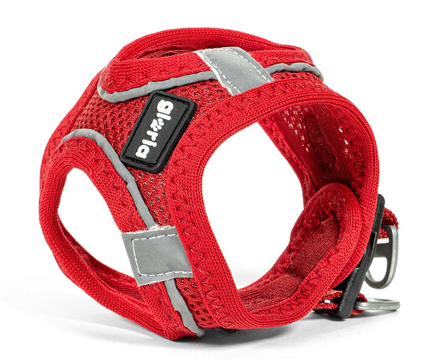 Gloria Pets Arnés Trek Star Rojo Oscuro para Perros XXXS