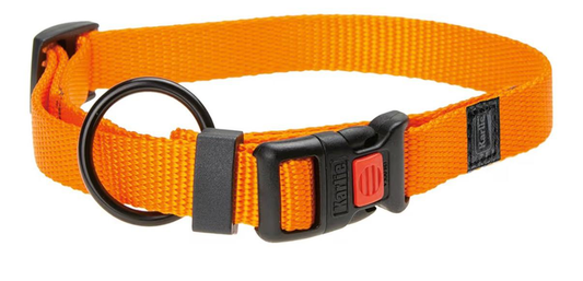 Collar Sportiv Plus 40mm x 55-75cm con Cierre de Seguridad