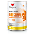 Disugual Intestinal Paté de Pollo para Perros con Problemas Digestivos – 400 g