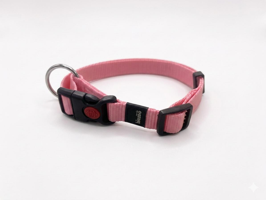Collar Nylon Classic Rosa 20mm x 38-45cm con Cierre de Seguridad