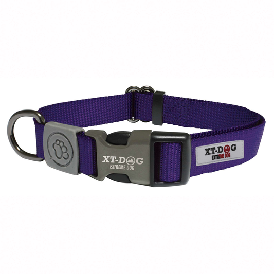 Collar Classic XT-DOG lila talla xs